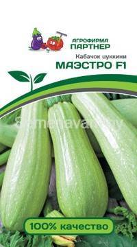 Кабачок МАЭСТРО F1