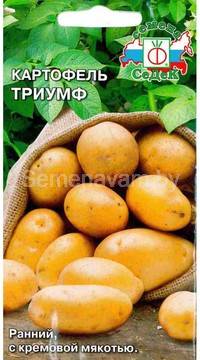 КАРТОФЕЛЬ ТРИУМФ