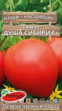 ТОМАТ ДУША СИБИРИ F1