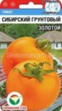 Томат Сибирский грунтовый золотой