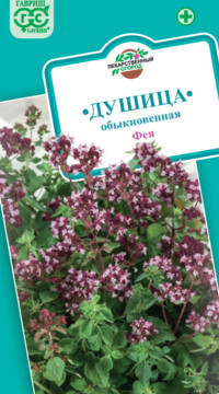 Душица обыкновенная ФЕЯ