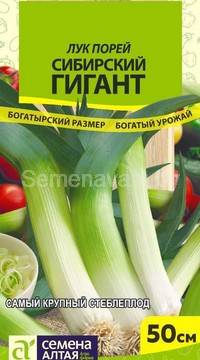 Лук Порей Сибирский Гигант