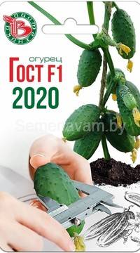 Огурец Гост F1 2020