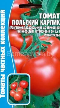 Томат Польский Карлик