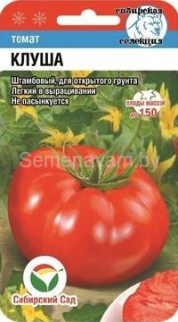 Томат Клуша