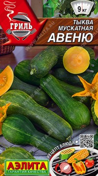 Тыква мускатная Авеню