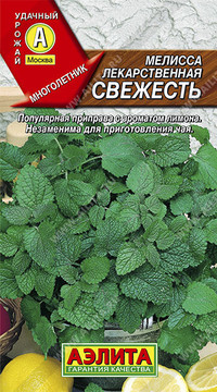 Мелисса Свежесть лекарственная