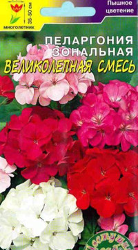 Пеларгония Великолепная смесь