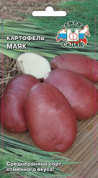 Картофель МАЯК