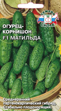 Огурец Матильда F1
