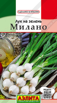 Лук на зелень Милано