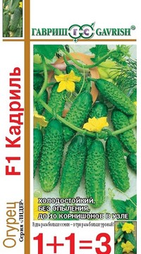 Огурец Кадриль F1, серия 1+1