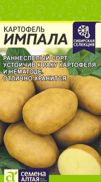 Картофель Импала