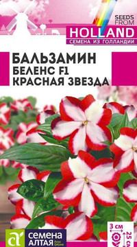 Бальзамин Беленс Красная звезда