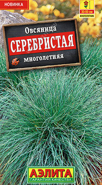 Овсяница Серебристая