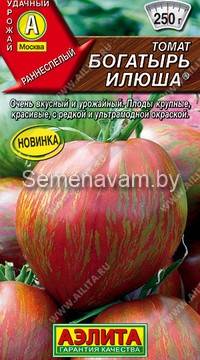 Томат Богатырь Илюша