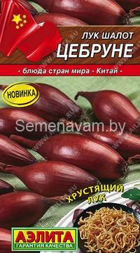 Лук шалот Цебруне