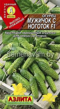 Огурец Мужичок с ноготок F1