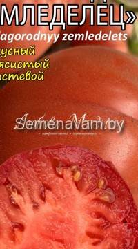 Томат Благородный земледелец