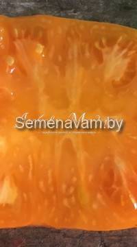 Томат Жемчужина Джанет