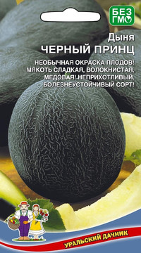 Дыня Черный принц