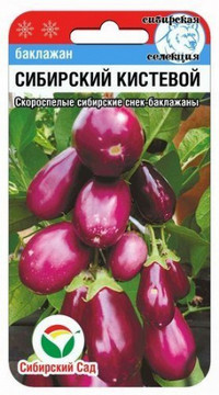 Баклажан Сибирский кистевой