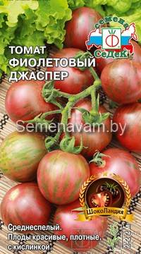 Томат Фиолетовый Джаспер