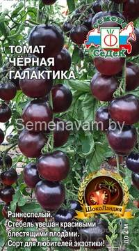 Томат Черная Галактика