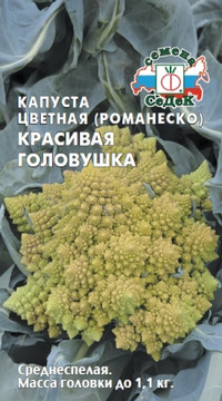 Капуста цветная Красивая головушка F1