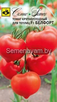 Томат Белфорт F1