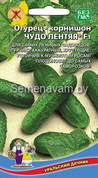 Огурец ЧУДО ЛЕНТЯЯ F1