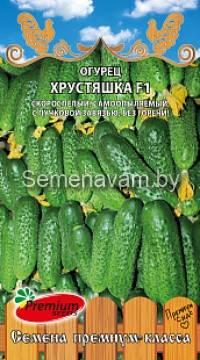 Огурец Хрустяшка F1 срок 12.2025