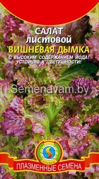 Салат ВИШНЕВАЯ ДЫМКА