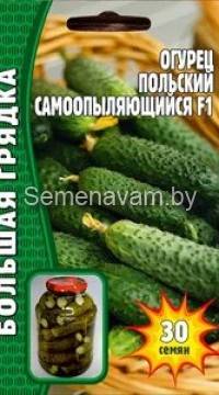 Огурец Польский самоопыляющийся F1