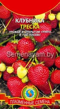 Клубника ТРЕСКА