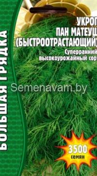 Укроп ПАН МАТЕУШ (быстроотрастающий)