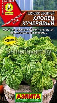 Базилик овощной Хлопец кучерявый