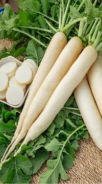 Дайкон Миноваси (россыпь)