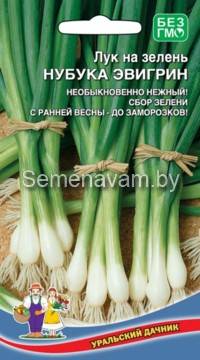 Лук на зелень  НУБУКА ЭВИГРИН