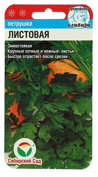 Петрушка листовая