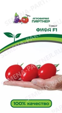 Томат ФИФА F1
