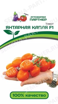 Томат  ЯНТАРНАЯ КАПЛЯ F1