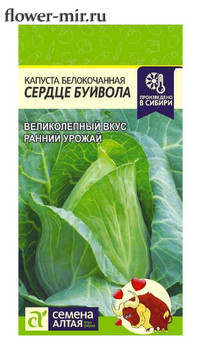 Капуста белокочанная Сердце буйвола