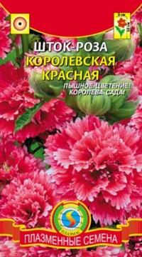 Шток-роза КОРОЛЕВСКАЯ КРАСНАЯ