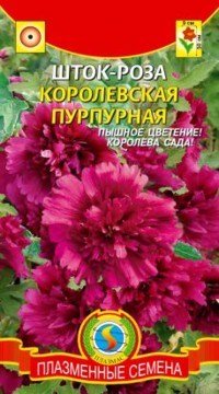Шток-роза КОРОЛЕВСКАЯ ПУРПУРНАЯ