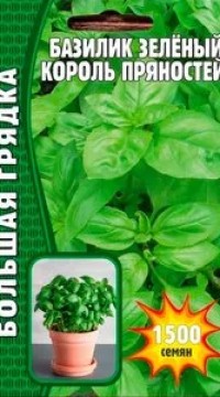 Базилик Зеленый Король пряностей