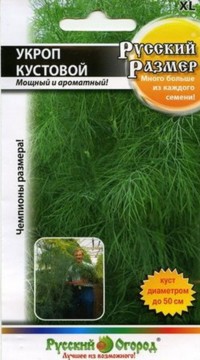 Укроп Русский размер