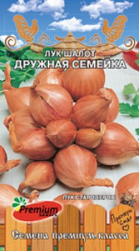 Лук шалот Дружная семейка