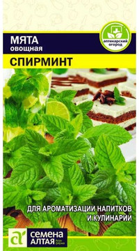 Мята Спирминт