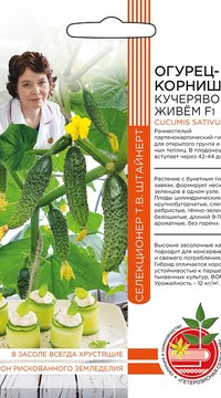 Огурец КУЧЕРЯВО ЖИВЁМ F1